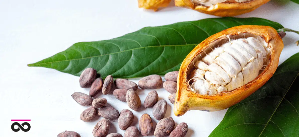 Cacao Pods and cocoa beans