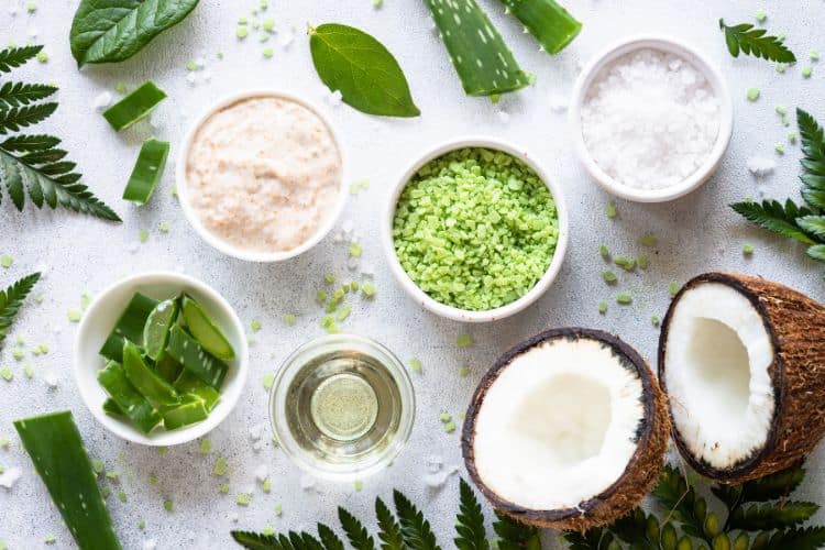 collection of fresh skincare ingredients